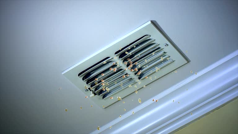 Best Local Air Duct Cleaning Services  in Viola, IL