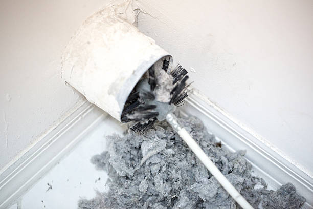 Best Air Duct Cleaning Company Near Me  in Viola, IL