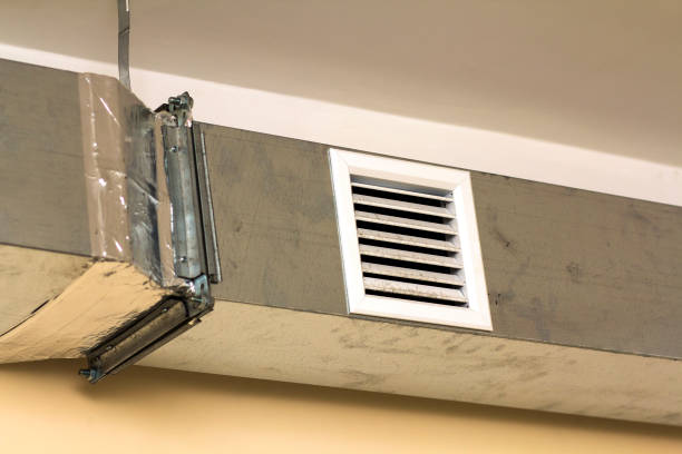 Best Dryer Vent Cleaning Services  in Viola, IL
